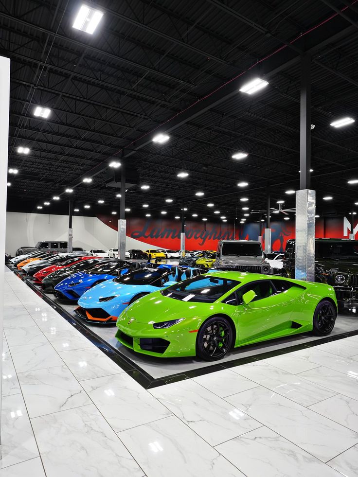 Car Rental & Dealerships